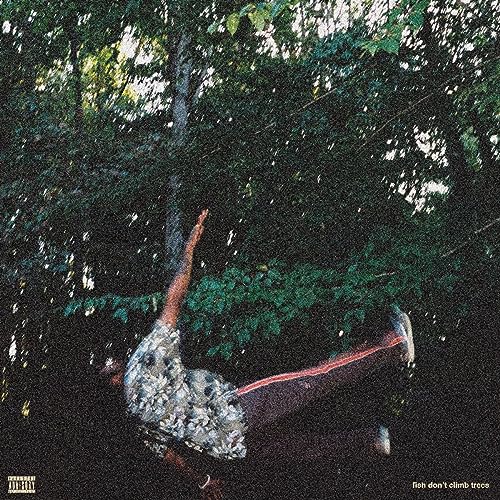 Fish Don'T Climb Trees [Vinyl LP] von Pow (H'Art)