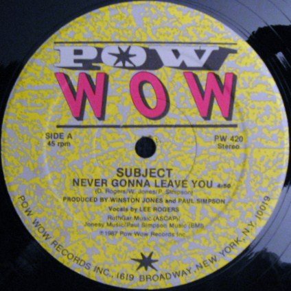 Never Gonna Leave You [Vinyl LP] von Pow Wow Records