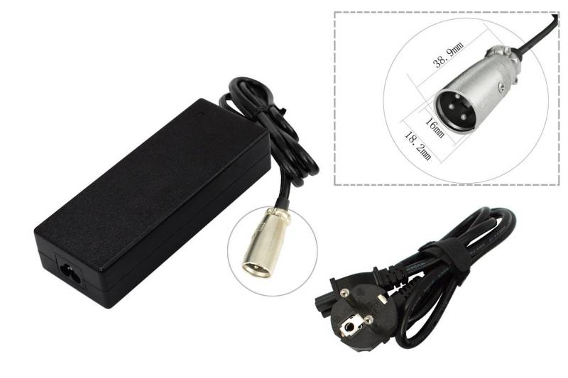 PowerSmart CP100L1302E.003 Batterie-Ladegerät (LithiumAusgabe 48V Batterie Elektrisches Motorrad Roller E-Bike) von PowerSmart