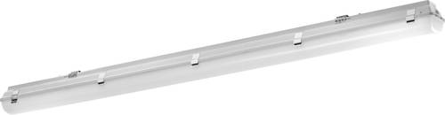 Pracht LED-Feuchtraumleuchte LED 52W Weiß Grau Pracht LED-Feuchtraumleuchte LED 52W Weiß Grau von Pracht