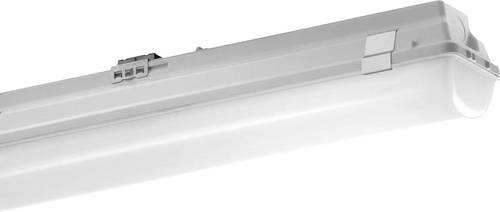 Pracht LED-Feuchtraumleuchte LED 52W Weiß Grau von Pracht