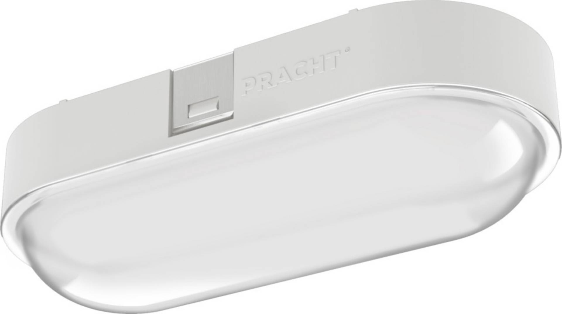 Pracht LED-Ovalleuchte NINA ECO #5200010 Pracht LED-Ovalleuchte NINA ECO #5200010 von Pracht