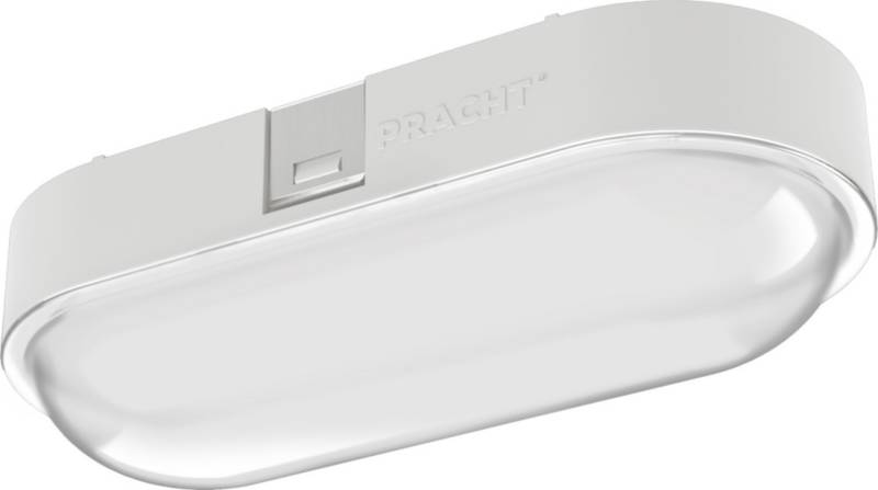 Pracht LED-Ovalleuchte NINA ECO #5200010 von Pracht