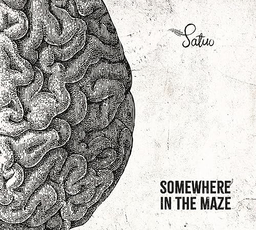 Somewhere in the maze von Preiser (Naxos Deutschland Musik & Video Vertriebs-)
