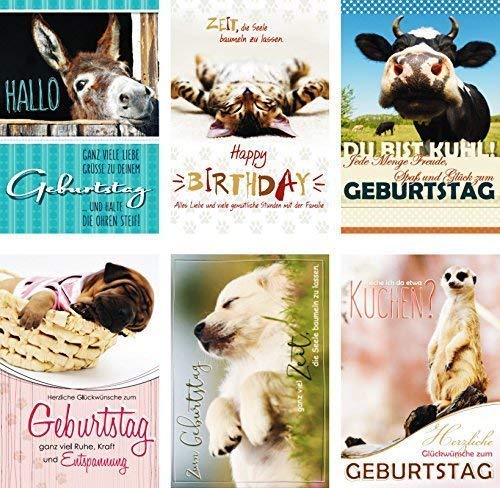 100 Glückwunschkarten zum Geburtstag Tiere 51-5402 Geburtstagskarte Grußkarten von Preisjubel