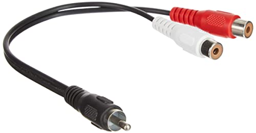 PremiumCord Cinch Kabel 0, 2m, 1x Cinch RCA Stecker auf 2X Cinch RCA Buchse, Audio Video Adapterkabel, Stereo, für TV, Handys, MP3, HiFi, Farbe schwarz PremiumCord Cinch Kabel 0, 2m, 1x Cinch RCA Stecker auf 2X Cinch RCA Buchse, Audio Video Adapterkabel, Stereo, für TV, Handys, MP3, HiFi, Farbe schwarz von PremiumCord