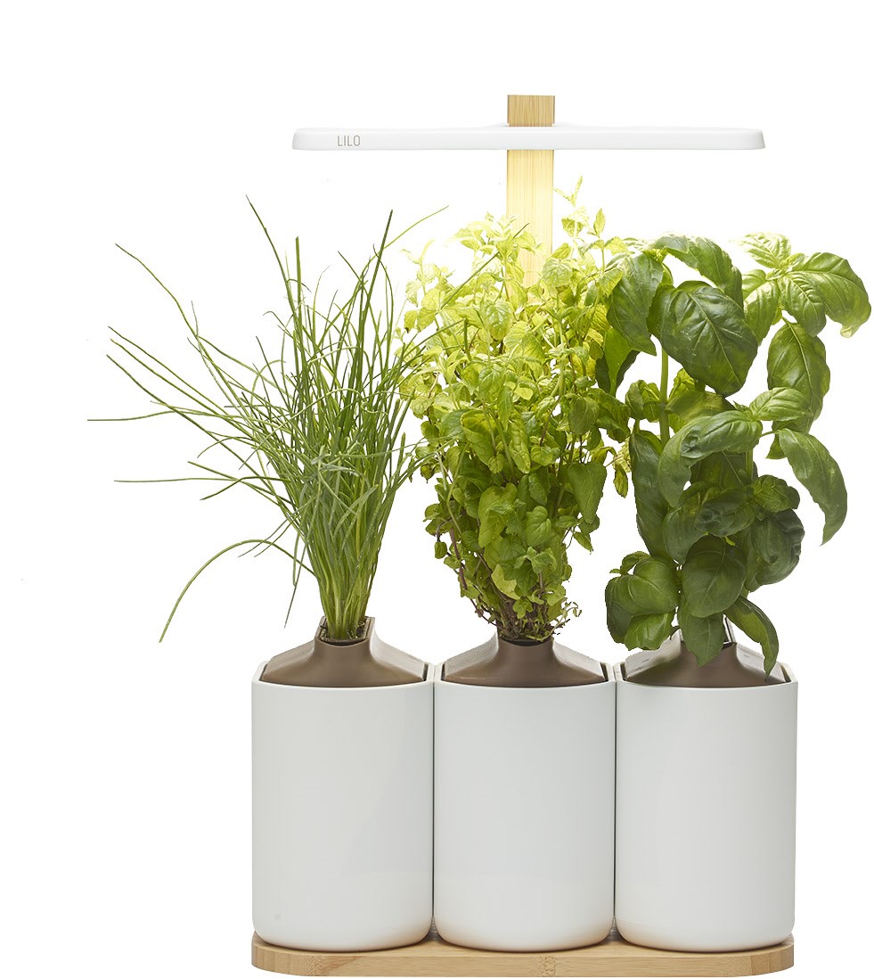 Lilo Connect Indoor-Garten weiß Lilo Connect Indoor-Garten weiß von Prêt à Pousser