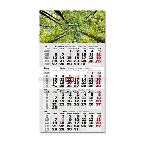 Primus Print 4-Monats Einblockkalender 2024 - Wandkalender - Monatskalender - Blockkalender - inklusive Feiertagen - verschiedene Motive (Bäume) von Primus-Print.de