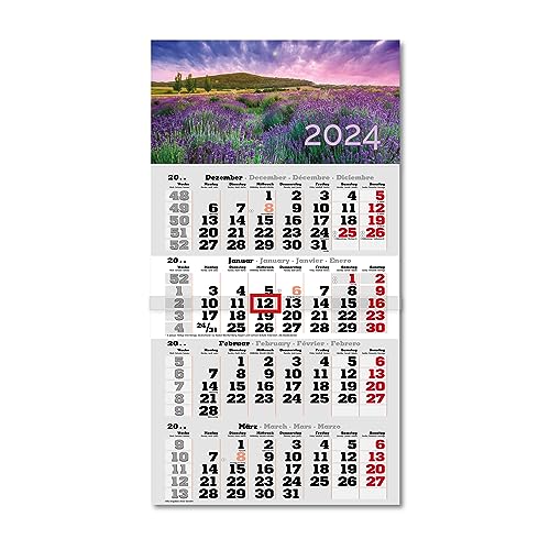 Primus Print 4-Monats Einblockkalender 2024 - Wandkalender - Monatskalender - Blockkalender - inklusive Feiertagen - verschiedene Motive (Lavendel) von Primus-Print.de