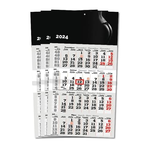 Primus Print 4-Monats Einblockkalender 2024 - Wandkalender - Monatskalender - Blockkalender - inklusive Feiertagen - verschiedene Motive (Sexy - 3er Set) von Primus-Print.de