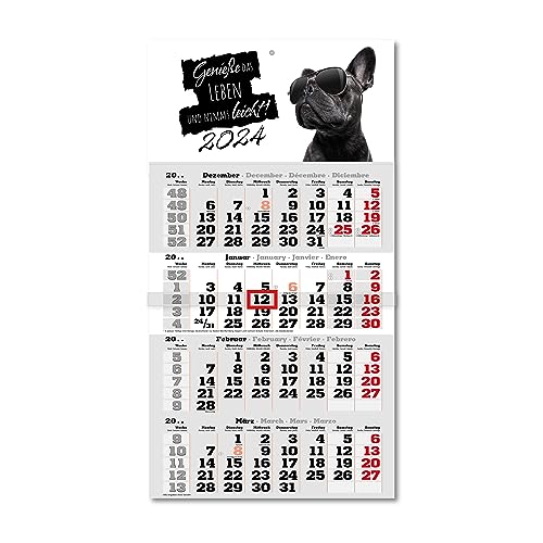 Primus Print 4-Monats Einblockkalender 2024 - Wandkalender - Monatskalender - Blockkalender - inklusive Feiertagen - verschiedene Motive (französische Bulldogge) von Primus-Print.de