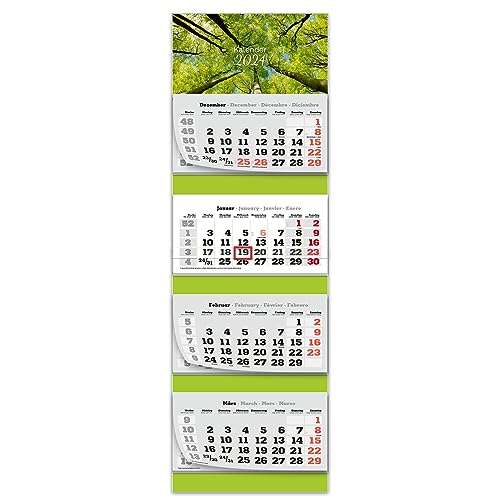 Primus Print XXL 4-Monats Mehrblockkalender 2024 - Wandkalender - Monatskalender - Blockkalender - inklusive Feiertagen und Ferien - verschiedene Motive (Bäume) von Primus-Print.de