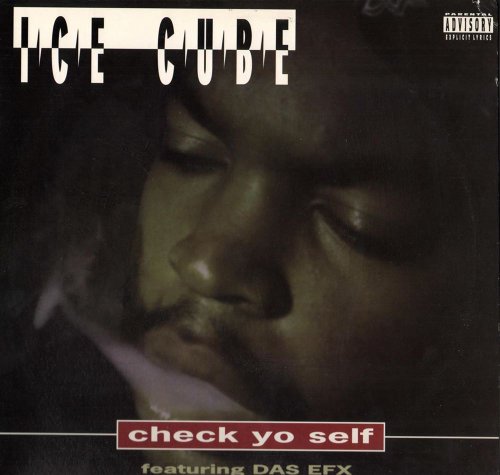 Check Yo Self [Vinyl Single] von Priority