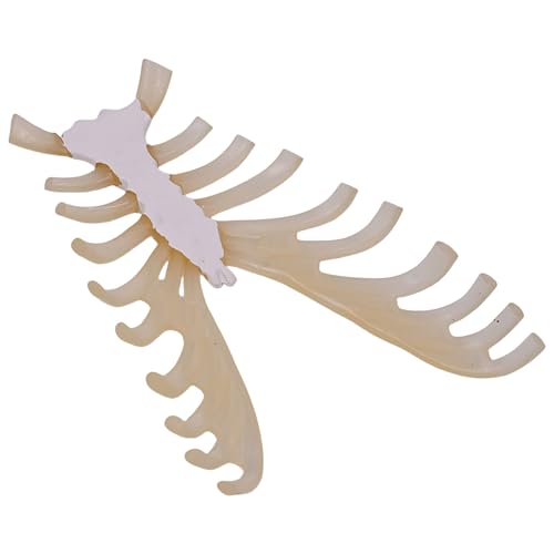 Menschliches Skelettmodell Für Anatomie Human Sternum Model Medicals Modelllehrmodellversorgungen Für Studien Und Anzeigen von Prmaylis