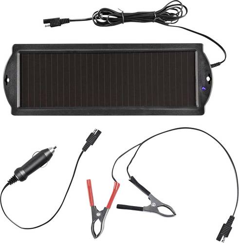 ProPlus A550059 Solar-Batterieschutz Zigarettenanzünder-Stecker, Entladungsschutz 12V von ProPlus