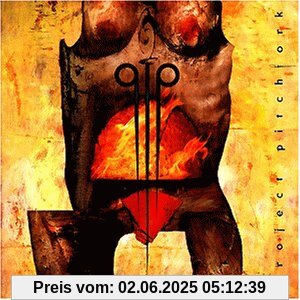 Chakra Red von Project Pitchfork