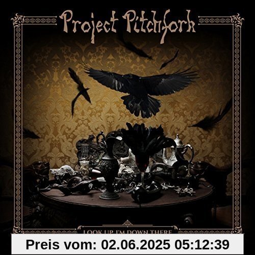 Look Up, I'm Down There Look Up, I'm Down There von Project Pitchfork