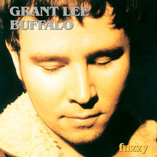 Fuzzy [Vinyl LP] von Chrysalis