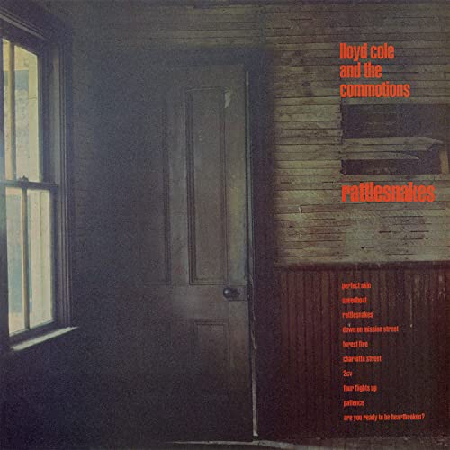 Rattlesnakes [Vinyl LP] von Proper Music Brand Code