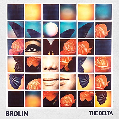 The Delta [Vinyl LP] von Proper Music Brand Code