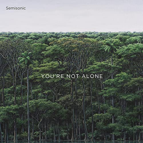 You'Re Not Alone [Vinyl Maxi-Single] von Proper Music Brand Code