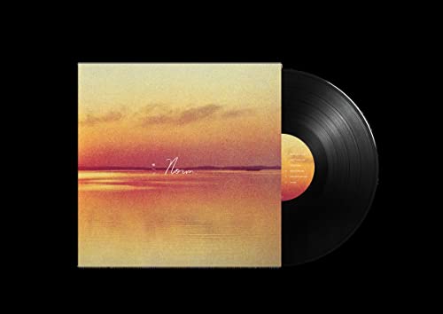 Norm [Vinyl LP] von EPITAPH