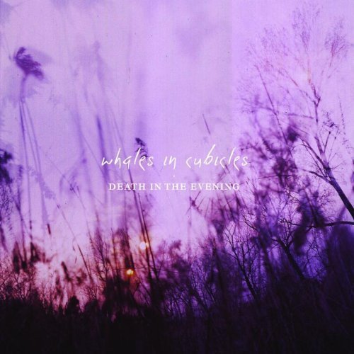 Death in the Evening [Vinyl LP] von Proper Music