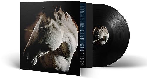 How to Kill a Horse (Black Vinyl) [Vinyl LP] von Prophecy Productions (Soulfood)