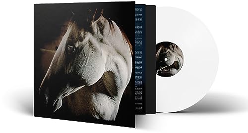 How to Kill a Horse (White Vinyl) [Vinyl LP] von Prophecy Productions (Soulfood)