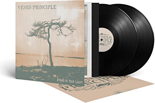 Stand in Your Light (Black 2-Vinyl) [Vinyl LP] von Prophecy Productions (Soulfood)