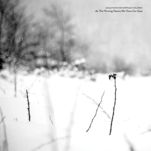 As the Morning Dawns We Close Our Eyes [Vinyl LP] von Prosthetic