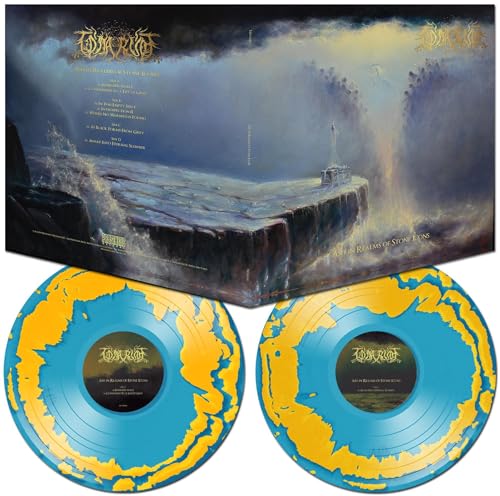 Ash in Realms of Stone Icons [Vinyl LP] von Prosthetic Records / Cargo