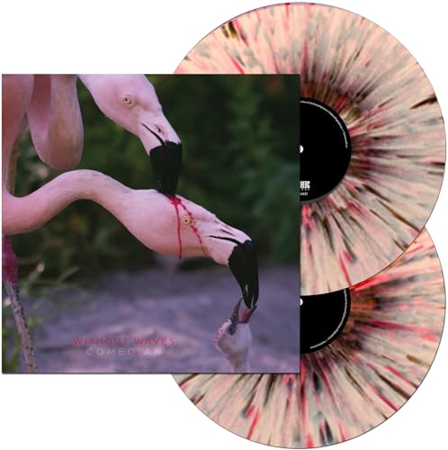 Comedian [Vinyl LP] von PROSTHETIC RECORDS
