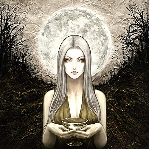 The Witch'S Grail [Vinyl LP] von Prosthetic Records / Cargo