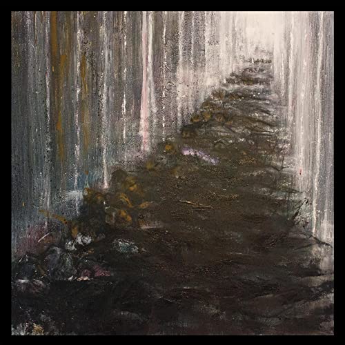 Lightless [Vinyl LP] von Prosthetic Records