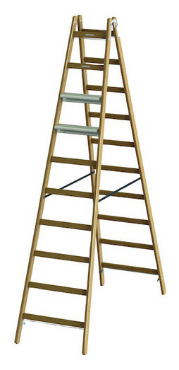 PHSLAE10 HolzSprostehl+AluStuf.eins.2x10 PHSLAE10 HolzSprostehl+AluStuf.eins.2x10 von Protec.Class