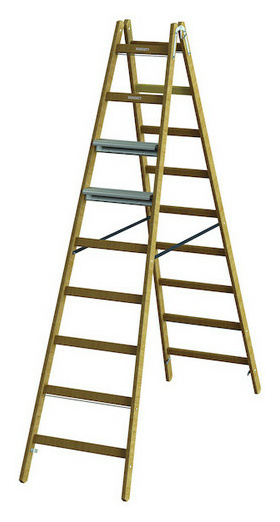 PHSLAE29 HolzSprosStehl+AluStuf.eins.2x9 PHSLAE29 HolzSprosStehl+AluStuf.eins.2x9 von Protec.Class