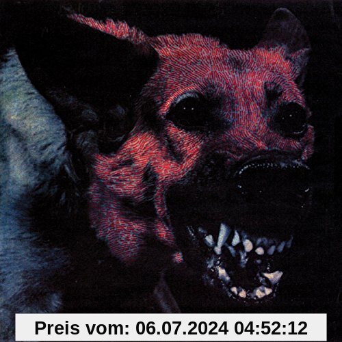 Under Color of Official Right [Vinyl LP] von Protomartyr