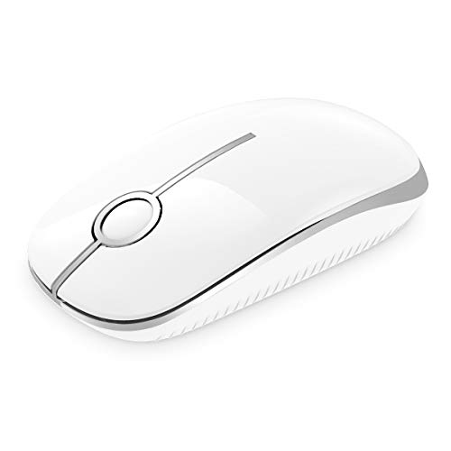 PryRose Leise, kabellose Maus, 2,4 G, schlanke Reisemaus mit USB-Empfänger, leises Klicken, tragbare Computermäuse für Laptop, PC, Mac, komfortable Textur, Weiß und Silber von PryRose