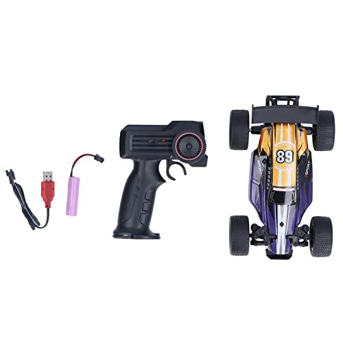 1:20 RC-Rennwagen, Exquisites 2,4-GHz-RC-Auto mit Allradantrieb, Geburtstagsgeschenk, simuliert für ab 6 Jahren für Outdoor-Aktivitäten (Lila) von Pssopp