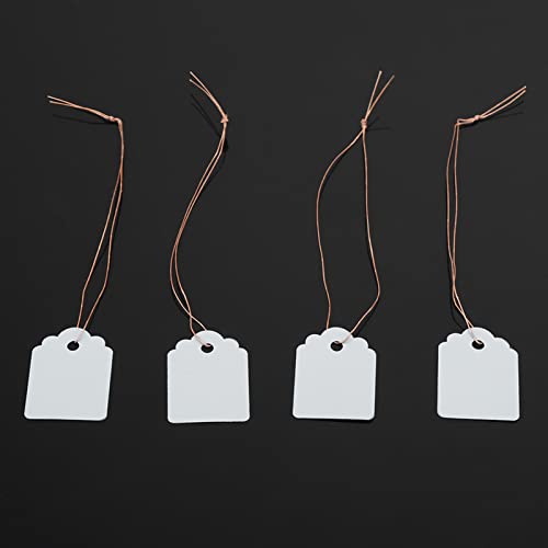 Hanging Blumenetikettsmarker, 200pcs Hängende Pflanzensamenkennzeichnungen, Weißblau Gelb für die PVC (WHITE) von Pssopp