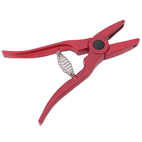 Tierzelle für Viehohr -Ohrhörer, Aluminium -Legierungs Ohr Tag Applikator Gegen Schlupfgriff, Ideal für Schafe, Ziegenohr Tag Installation Tierzelle für Viehohr -Ohrhörer, Aluminium -Legierungs Ohr Tag Applikator Gegen Schlupfgriff, Ideal für Schafe, Ziegenohr Tag Installation von Pssopp