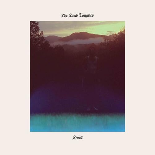 Dust [Vinyl LP] von Psychic Hotline
