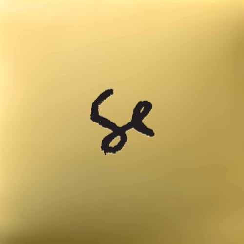 Sylvan Esso (10 Year Anniversary) (Black/White Spl [Vinyl LP] von Psychic Hotline