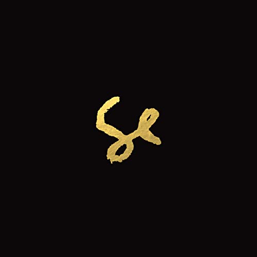 Sylvan Esso [Vinyl LP] von Psychic Hotline