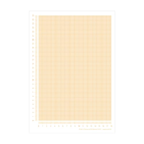 Millimeterpapier Block DIN A4 | seitlich abgedrucktes Lineal | 30 Blatt zum Abreißen | mathematisches Papier | zum Beschreiben und Skizzieren (DIN A4) von PuK Krämmer GmbH