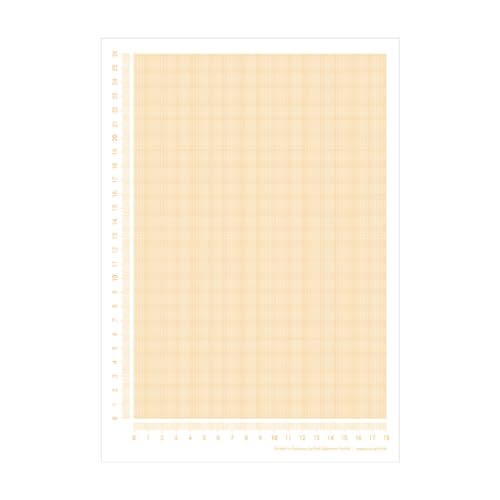 PuK Millimeterpapier Blöcke DIN A4 | seitlich abgedrucktes Lineal | 25 Blatt zum Abreißen | mathematisches Papier | zum Beschreiben und Skizzieren (5 x DIN A4) von PuK Krämmer GmbH