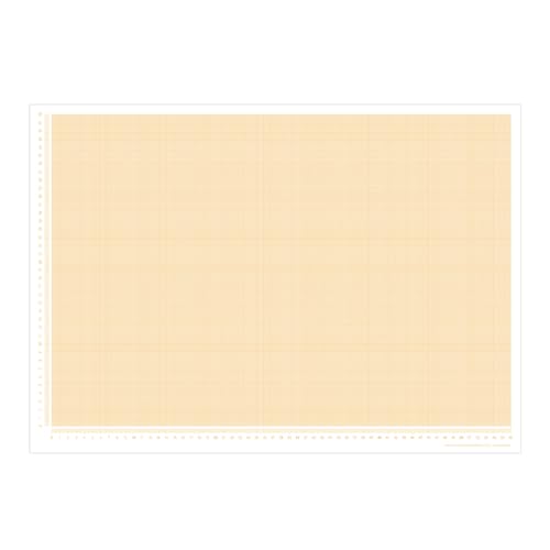 PuK Schreibtischunterlage Millimeterpapier | DIN A2 | seitlich abgedrucktes Lineal | 25 Blatt zum Abreißen | mathematisches Papier | zum Beschreiben und Skizzieren (DIN A2) von PuK Krämmer GmbH
