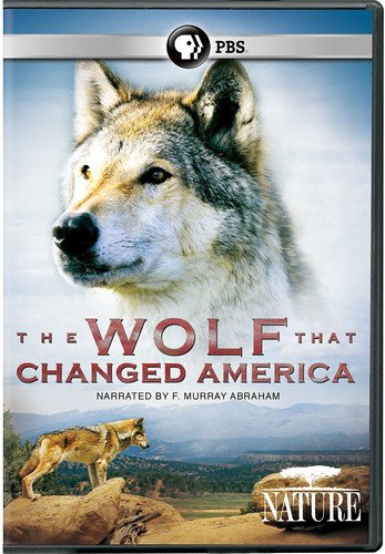 Nature: The Wolf That Changed America [DVD] [Import] von PBS