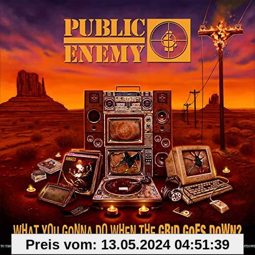 What You Gonna Do When the Grid Goes Down von Public Enemy